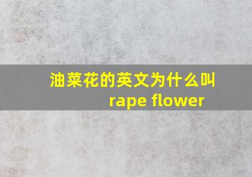 油菜花的英文为什么叫rape flower